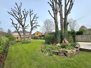 Photo 29- click for photo gallery